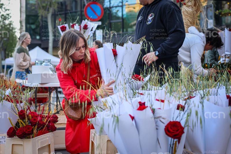 Sant Jordi roses